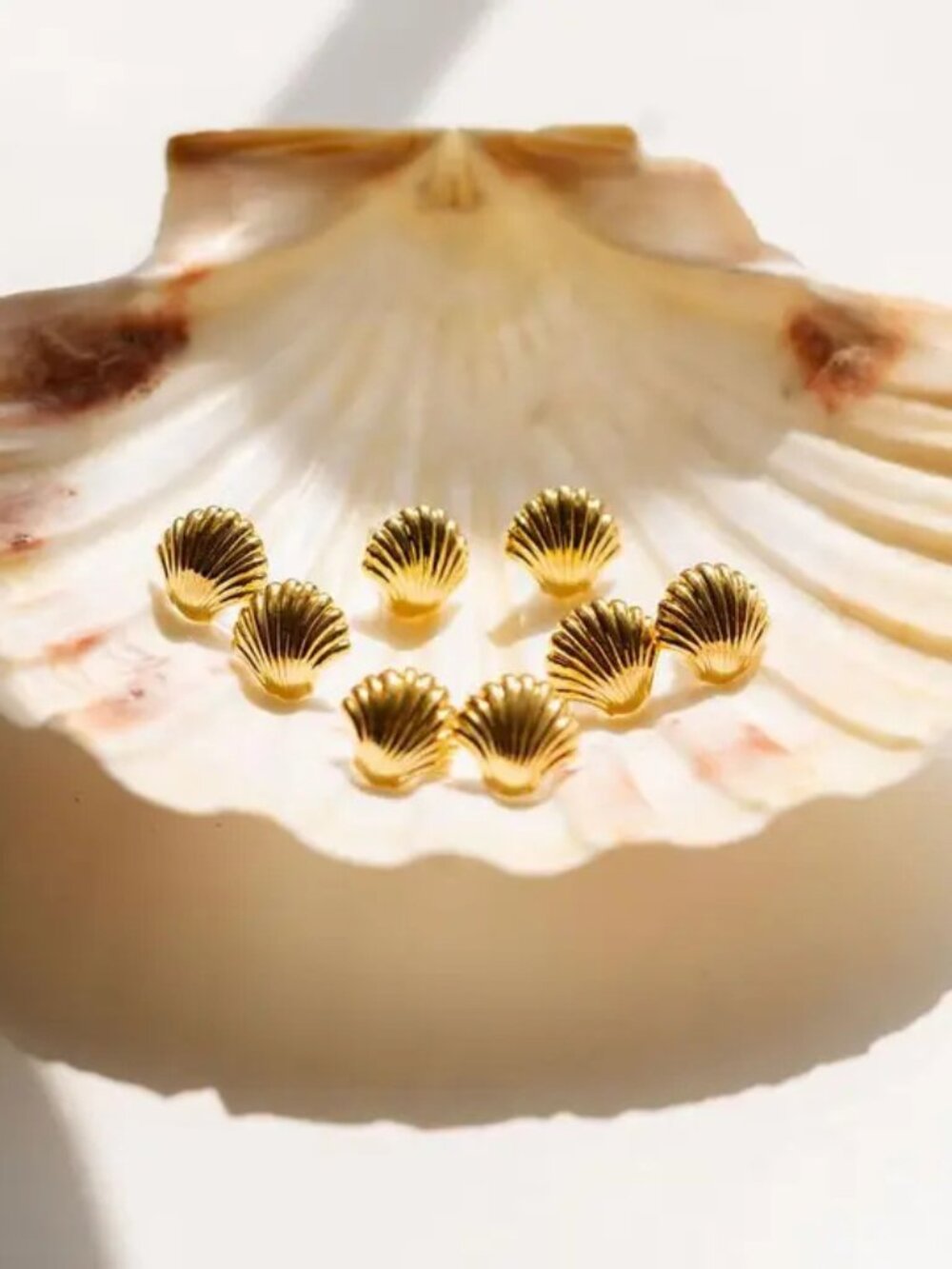 NWT Shell Stud Earrings by Lisi Lerch